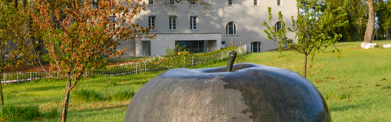 Vakantiehuizen in Frankrijk