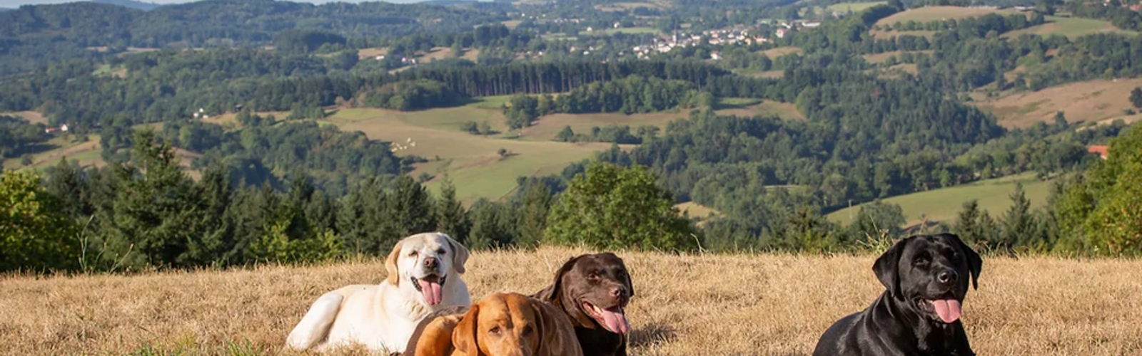 Vakantiehuizen in Frankrijk