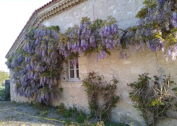 Holiday homes in France