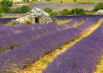 Holiday homes in France