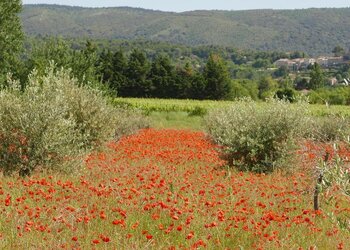 Holiday homes in France