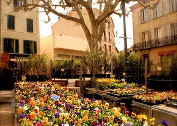 Holiday homes in France