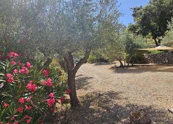 Holiday homes in France