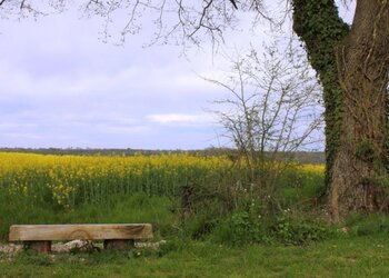 Holiday homes in France