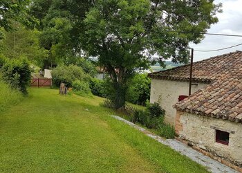 Holiday homes in France