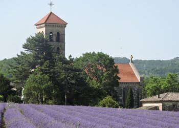 Holiday homes in France