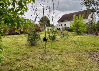 Holiday homes in France