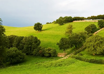 Holiday homes in France