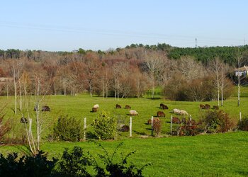 Holiday homes in France