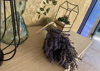 Holiday homes in France