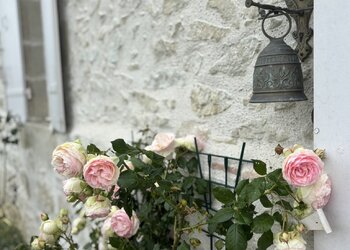 Holiday homes in France