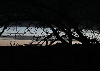 Holiday homes in France