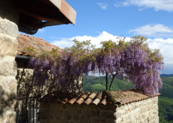 Holiday homes in France