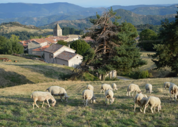 Holiday homes in France