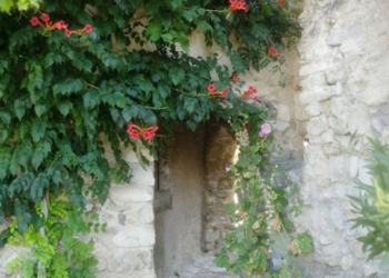 Holiday homes in France