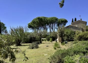 Holiday homes in France