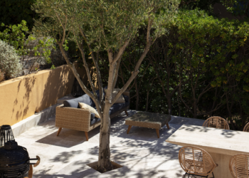 Holiday homes in France