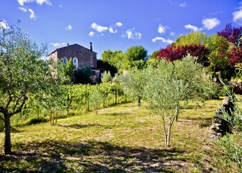 Holiday homes in France