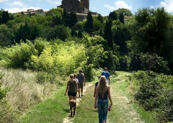 Holiday homes in France
