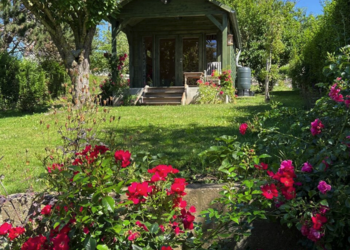 Holiday homes in France