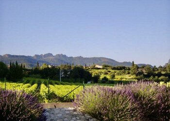 Holiday homes in France