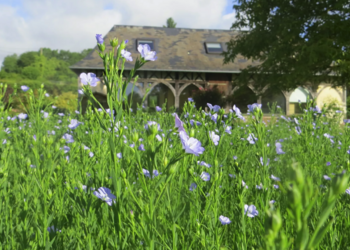 Holiday homes in France