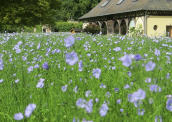 Holiday homes in France