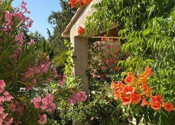 Holiday homes in France