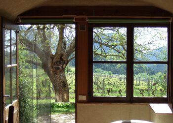 Holiday homes in France