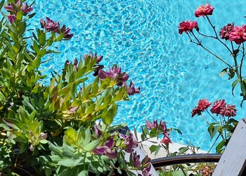 Holiday homes in France