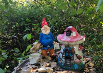 Holiday homes in France