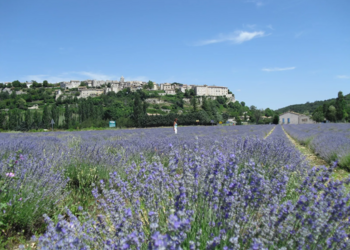 Holiday homes in France