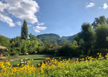 Holiday homes in France