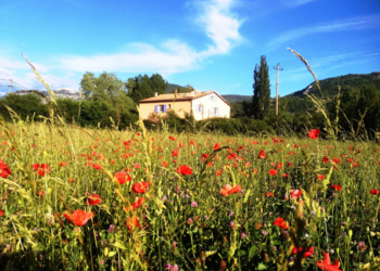Holiday homes in France