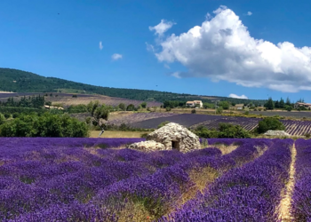 Holiday homes in France