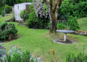 Holiday homes in France
