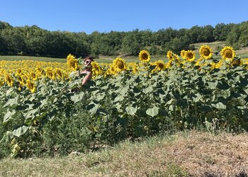 Maisons de vacances en France