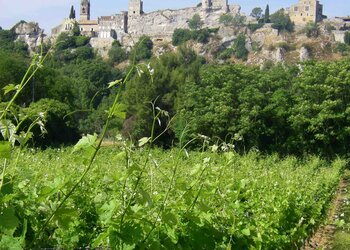 Maisons de vacances en France