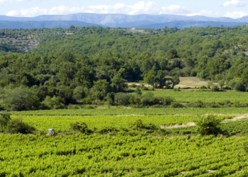 Maisons de vacances en France