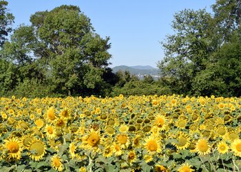 Maisons de vacances en France