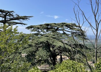 Maisons de vacances en France