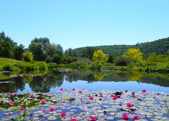 Maisons de vacances en France