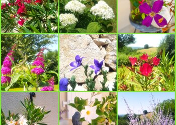 Maisons de vacances en France