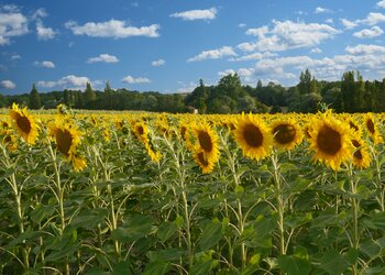 Maisons de vacances en France