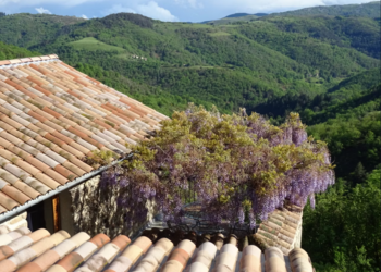 Maisons de vacances en France