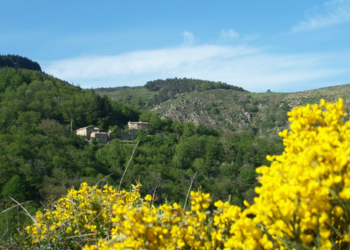 Maisons de vacances en France