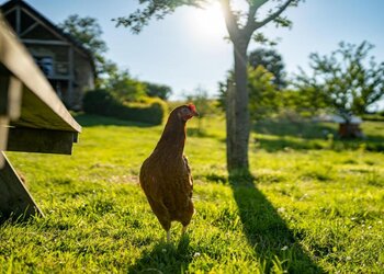 Maisons de vacances en France