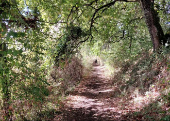 Maisons de vacances en France