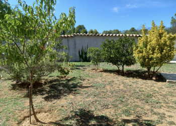Maisons de vacances en France