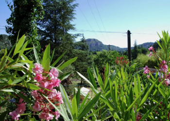 Maisons de vacances en France